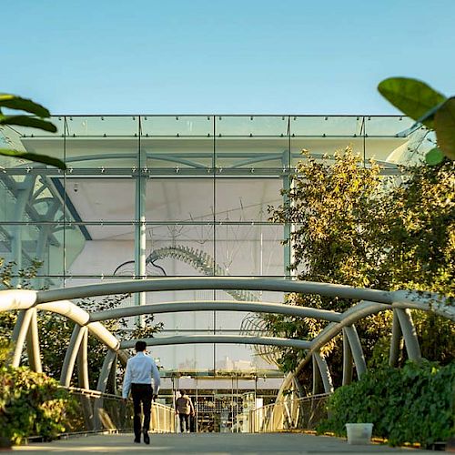 A man walks on a bridge flanked by plants, leading to a modern glass building with abstract artwork visible in the background, under a clear sky.