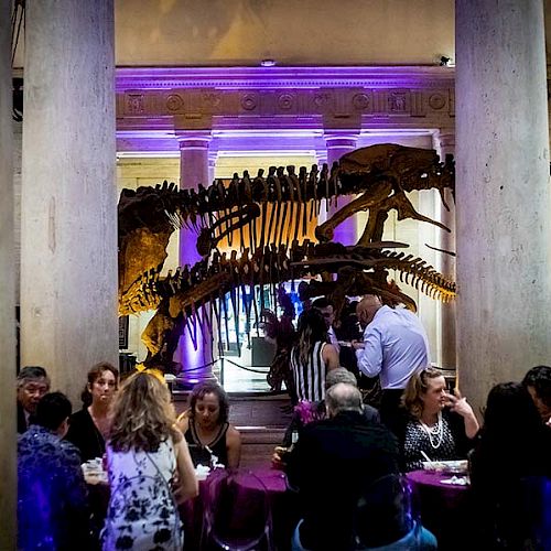 People dining at an indoor venue, with a large dinosaur skeleton display and purple lighting in the background, surrounded by columns and decor.