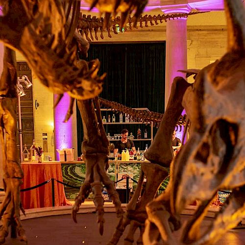 The image shows dinosaur skeletons displayed in a dimly lit room, with tables and a bar setup in the background, possibly for an event.