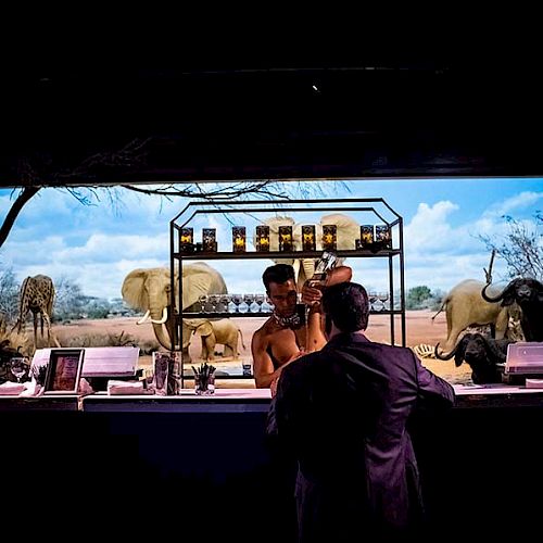 A bartender serves drinks to customers at a bar with a large window showcasing elephants and other animals in a natural habitat.