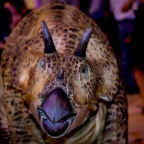 A close-up of a person in a dinosaur costume with horns and a spotted pattern, surrounded by people in the background.